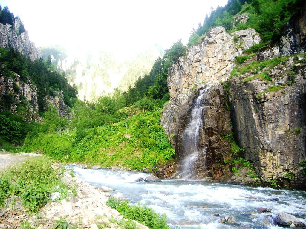 Yedigoller Hotel & Restaurant Uzungöl Luaran gambar