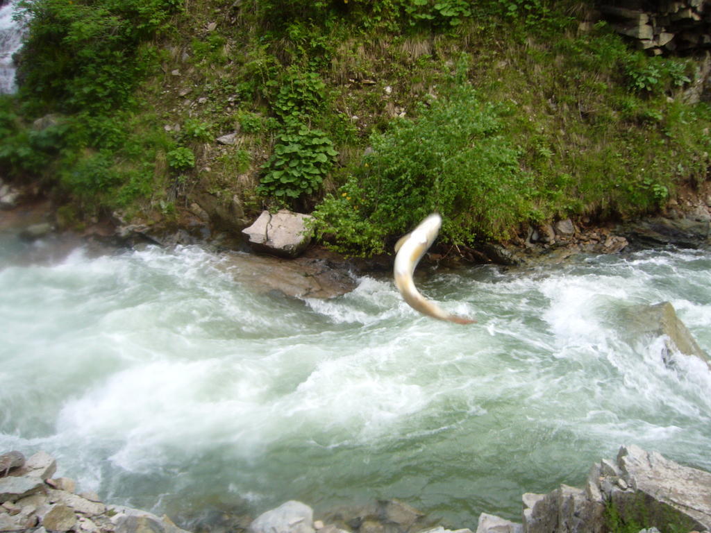 Yedigoller Hotel & Restaurant Uzungöl Luaran gambar